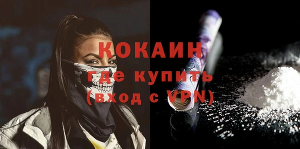 дмт Ельня