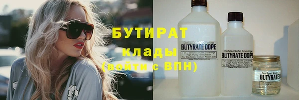 дмт Ельня