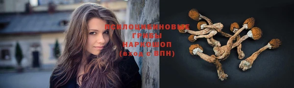 дмт Ельня