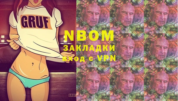 дмт Ельня