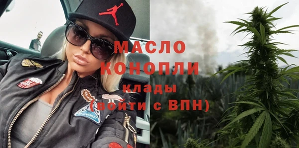 дмт Ельня