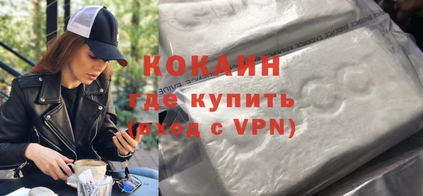 дмт Ельня