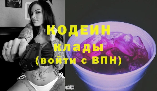 дмт Ельня